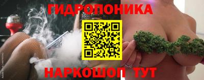 стаф Кулебаки