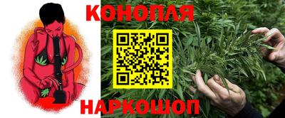 стаф Кулебаки